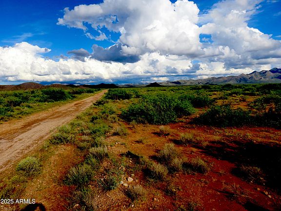 5th image of TBD W Austin Henely Road #9