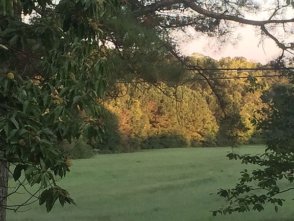 3rd image of 4146 Highway 5
