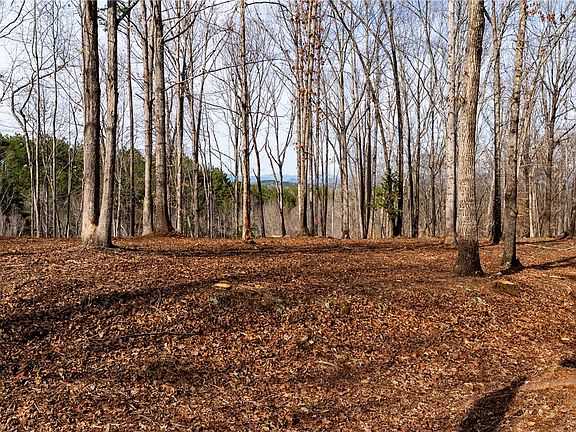 3rd image of LOT 119 Pine Harbor Way