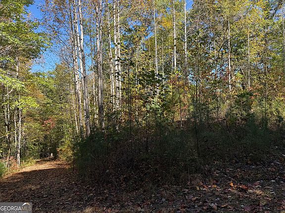 3rd image of 0 Benny Mountain Rd Lot A