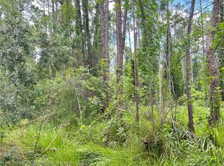 1311 Iris Ave, Sebring, FL 33875