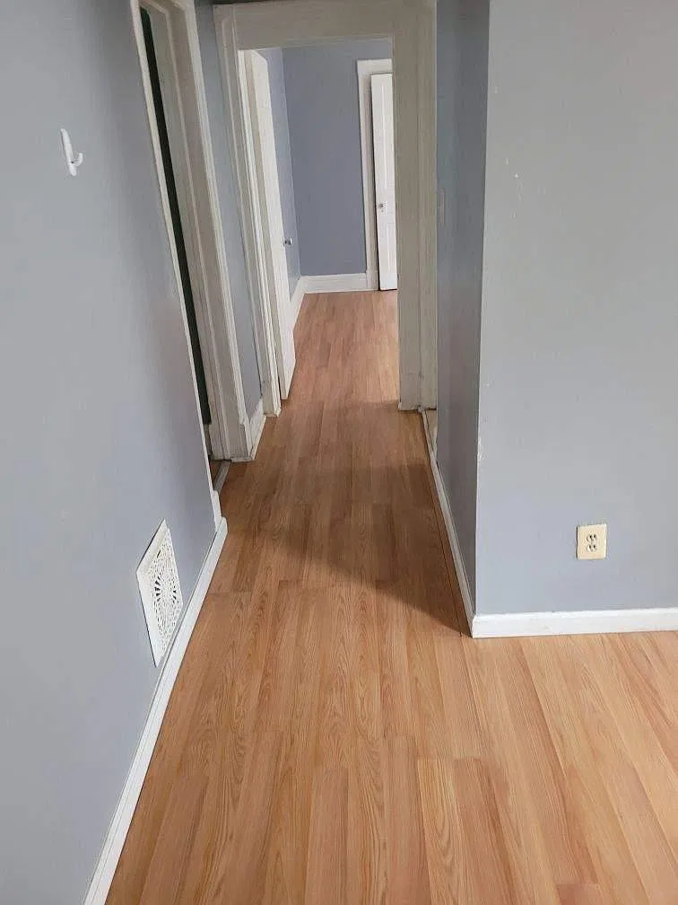 1 bed, 500 sqft, $1,250 — Photo 1