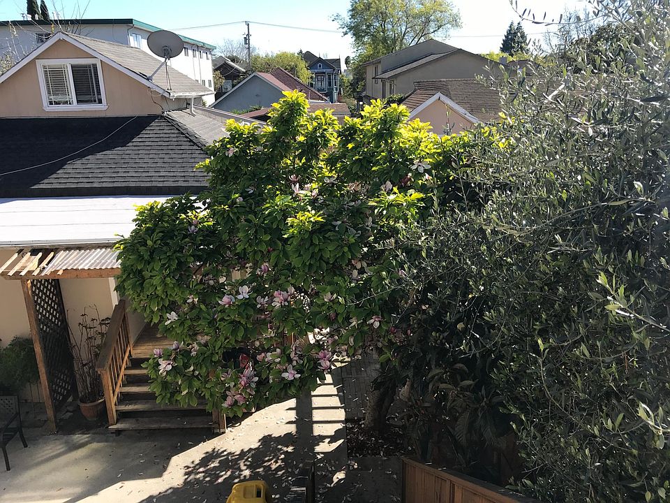 View from deck