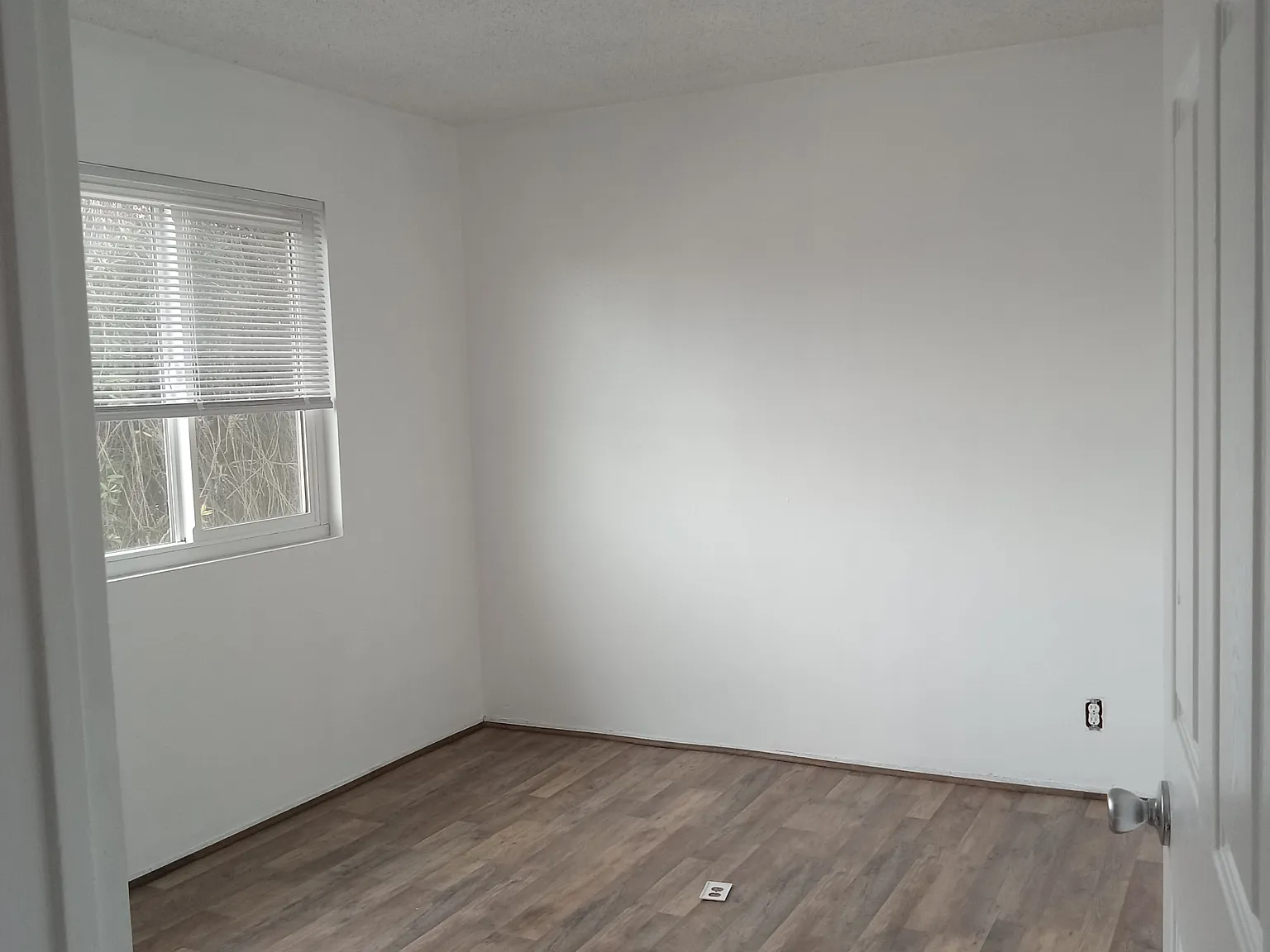 2 bed, 850 sqft, $1,900 — Photo 3