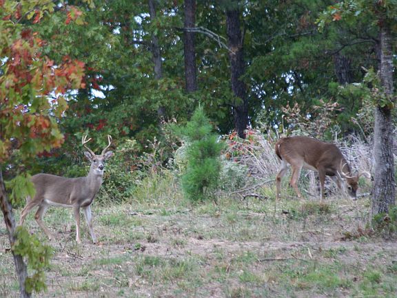 2nd image of 68858 Hwy259