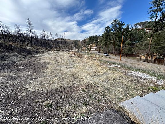 2nd image of 209 Sequoia Dr