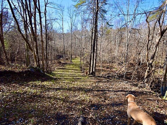 4th image of 0 Ebenezer Rd