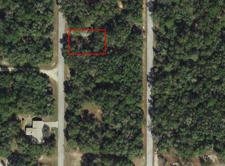 6569 N Flower Ter LOT 9, Hernando, FL 34442