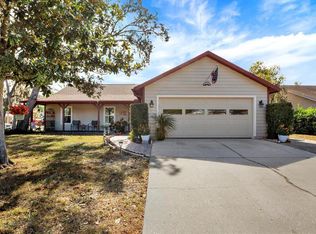 705 Brinton Ct, Brandon, FL 33511