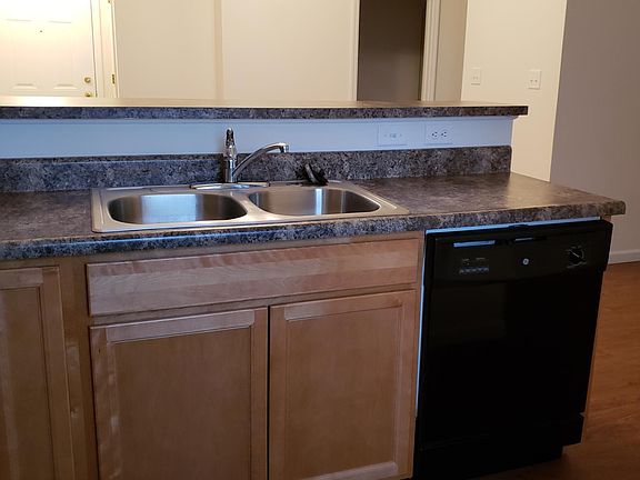 Sink with garbage disposal and dishwasher