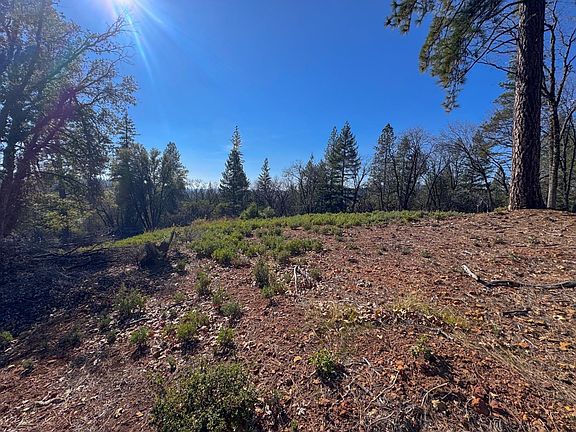 3rd image of 17414 You Bet Rd