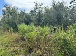 4683 SE Rye Ave #29, Arcadia, FL 34266