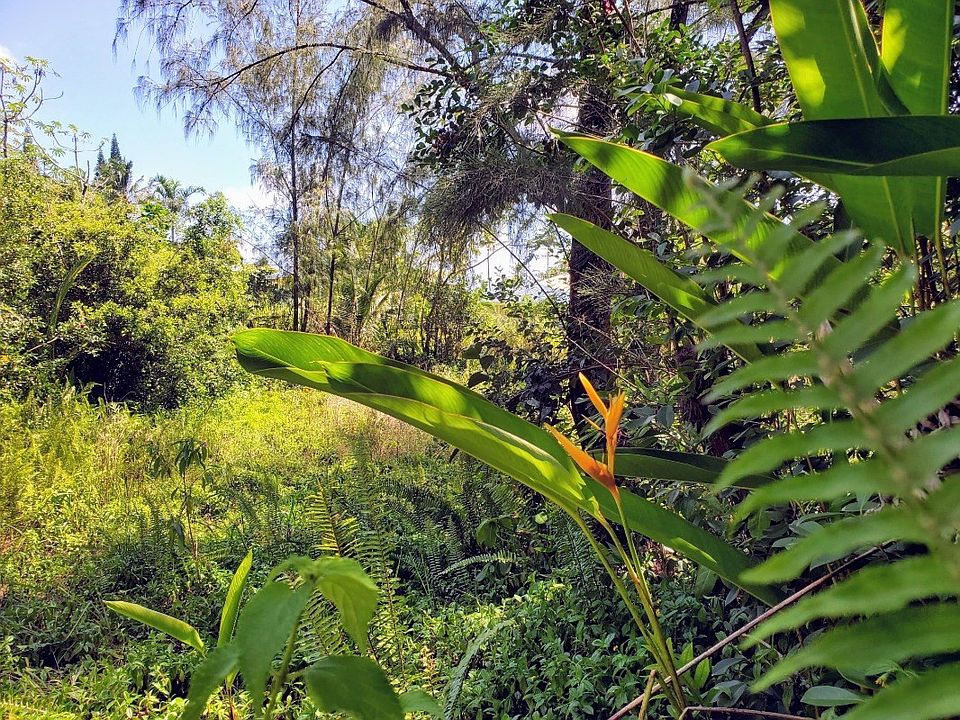 1st image of Wahi Heiau Lot 73