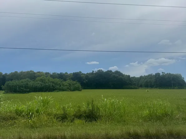 Osage Trl, Church Pt, LA 70525