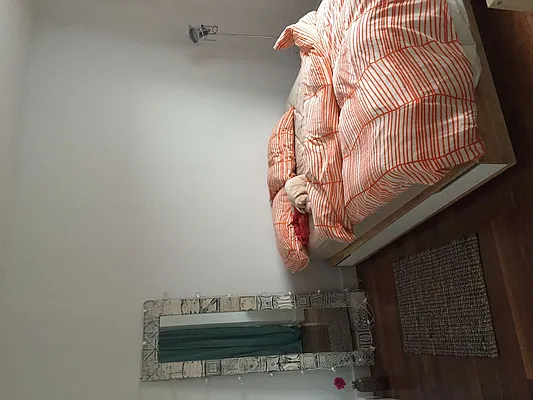 Rented by City View Living | media 17