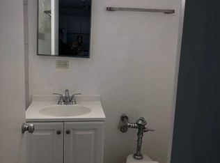 1401 E 55th St APT 503N, Chicago, IL 60615