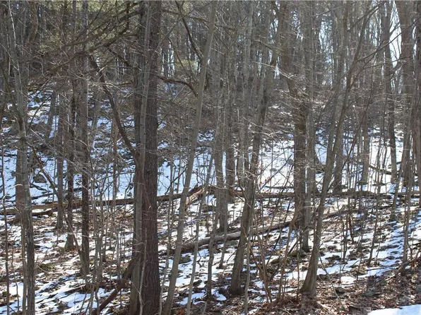 Deer Path #21, East Stroudsburg, PA 18302