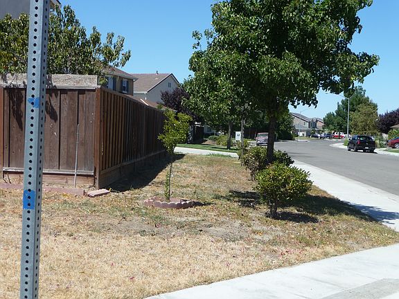 Sideyard Overlooking Street 