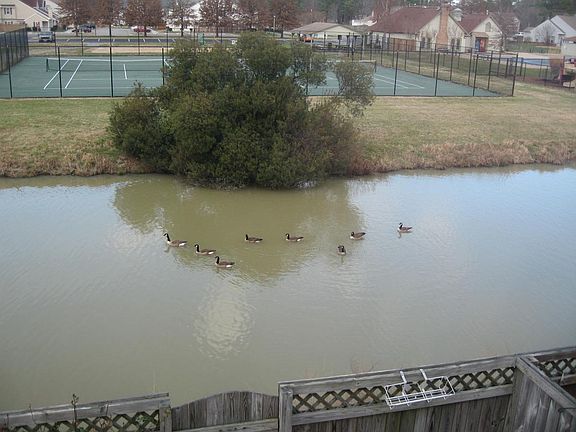4th image of 304 Linden Ct