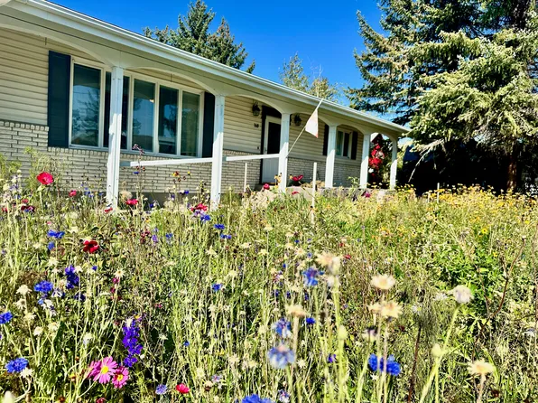 140 N 3rd St, Driggs, ID 83422