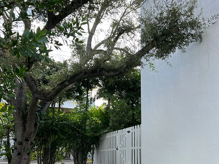 side yard