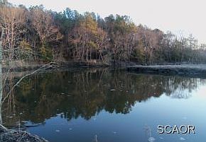 2nd image of 29162 Finch Ln