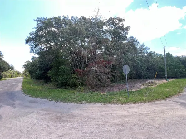 36 Fisher Way Ter #1140, Ocklawaha, FL 32179
