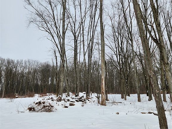 3rd image of Royalton Rd