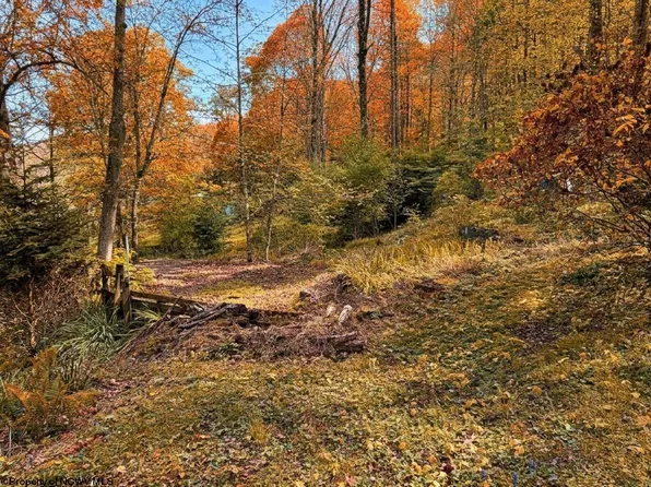 94-95 96 Crystal Ln, West Union, WV 26456
