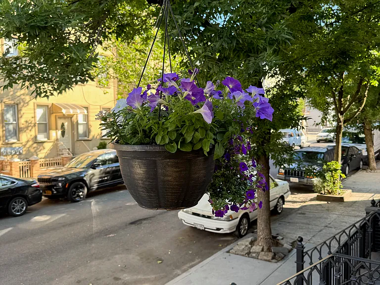 1912 Harman St #1 — Photo 17