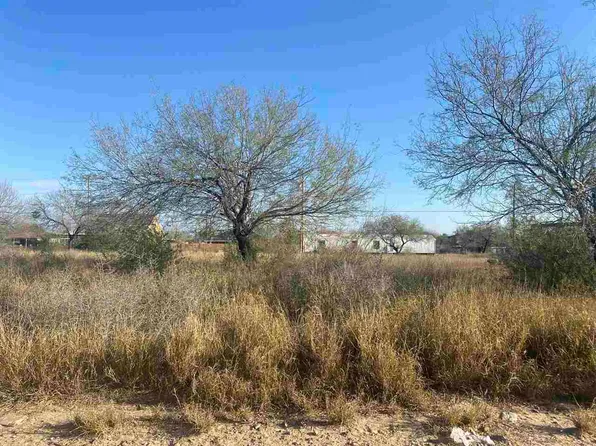 1416 Col Antonio Zapata Ave, Zapata, TX 78076