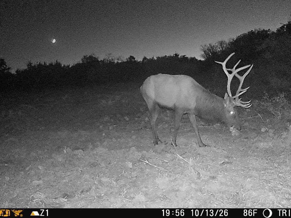 1st image of 76 Alamo Ranches LOT 76