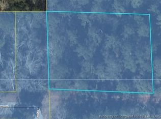 Lewis St, Raeford, NC 28376