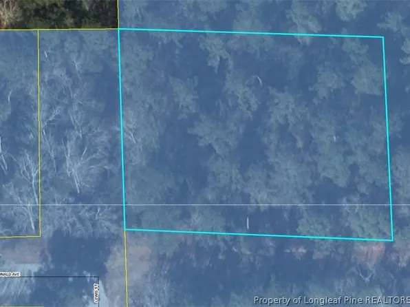 Lewis St, Raeford, NC 28376