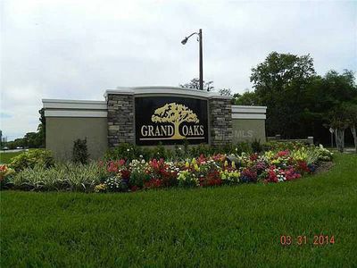 4616 Basswood St, Land O Lakes, FL, 34639