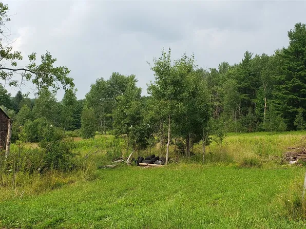 213 S Ketchumville Rd, Newark Valley, NY 13811