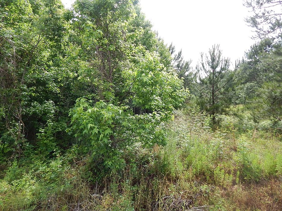 2nd image of 195 Braden Run Rd