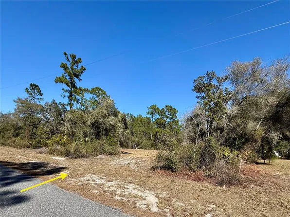 LOT 11 Poinciana St Lot 11, Eustis, FL 32736