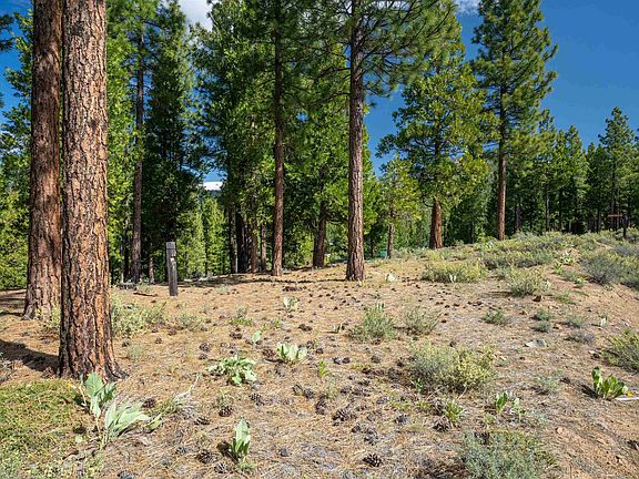 4th image of 20 S Ridge Rd