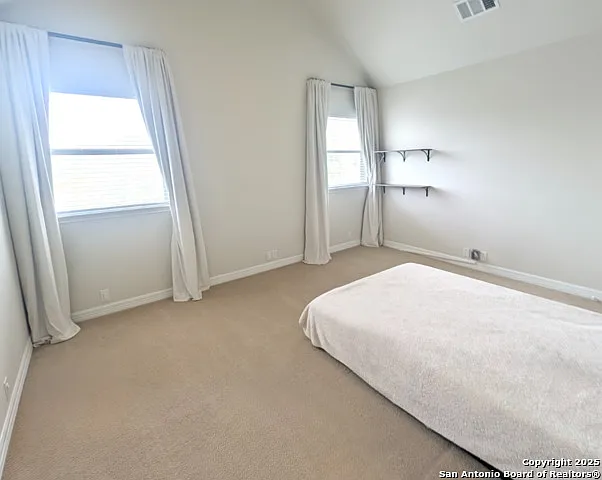22223 Roan Frst — Photo 16