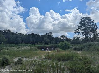 14402 Trinity Rd, Brooksville, FL 34614