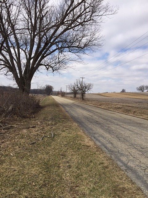 2nd image of Dog Hollow Rd