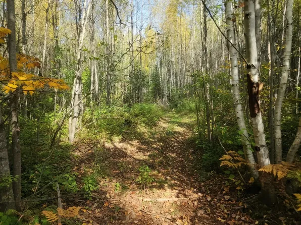 Bear Lake Rd, Butternut, WI 54514