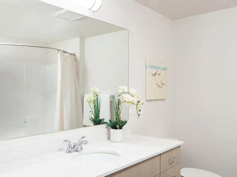 Linden Flats — Photo 11