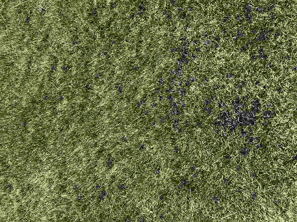 1st image of 4208 Jakob Cir