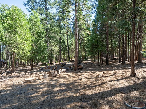 3rd image of Lot 31 Shasta Forest Dr