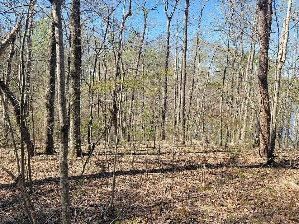 2nd image of 0 Indian Rock Loop