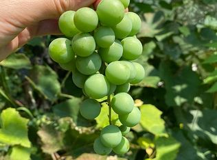 605 W Division St, Kewanee, IL 61443