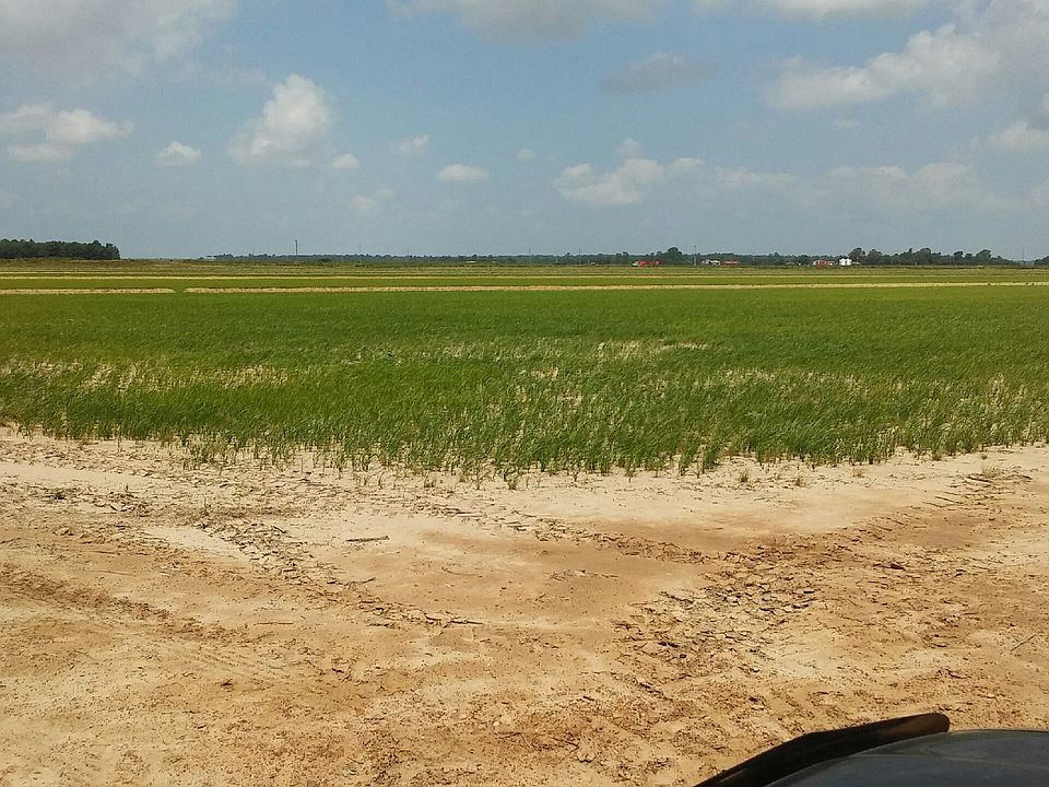 1st image of 1125 County Road 261