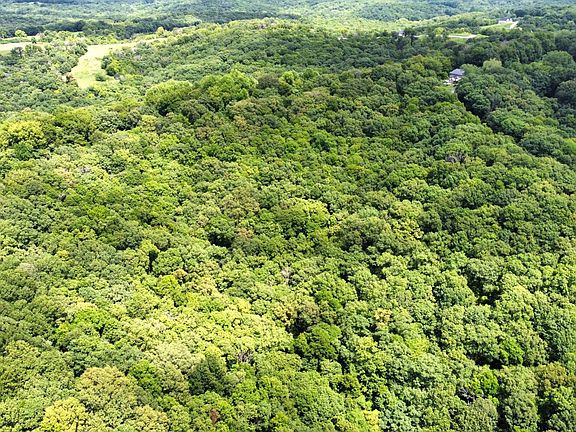An eastern look over the property